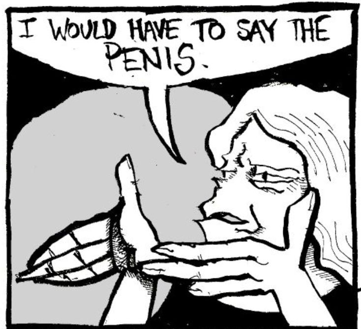 the final panel of the comic. the women is saying 