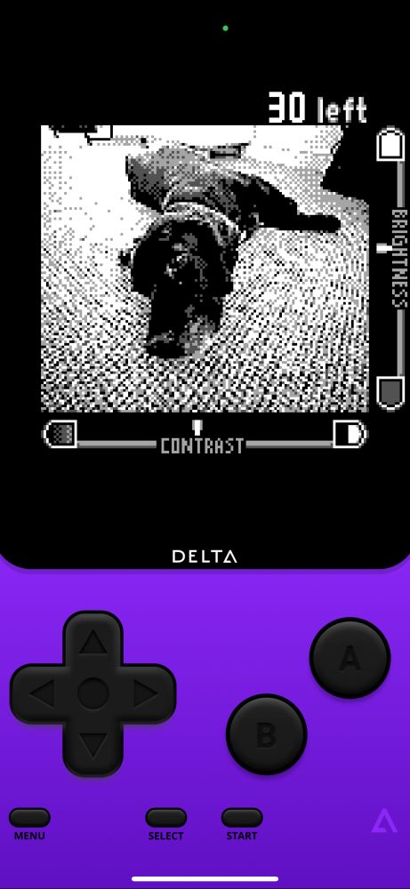 Game Boy Camera app showing Jolly.