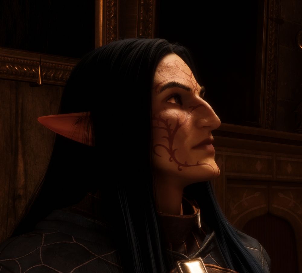 a male elf with long black hair and an aquiline nose and a sharp chin (i don't feel like writing out a long description this time)