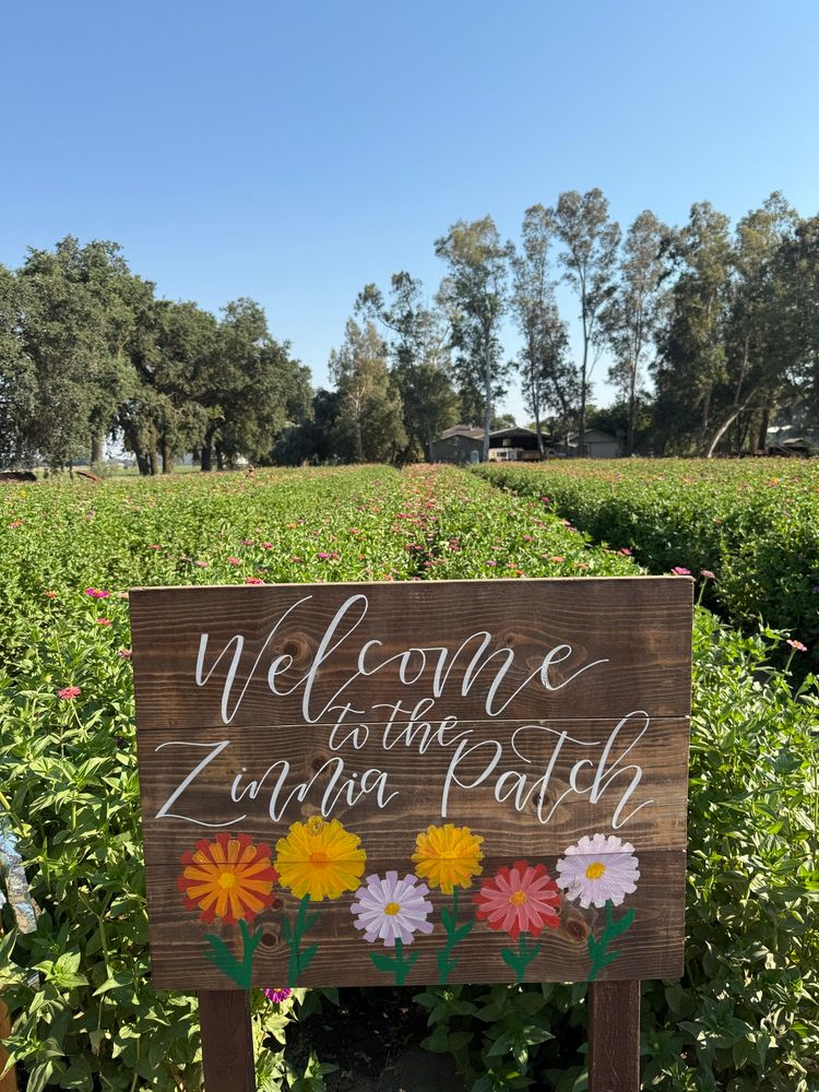 A field of zinnias behind a wood sign painted in calligraphic script: “Welcome to the Zinnia Patch.” There are zinnias painted below the lettering. 
