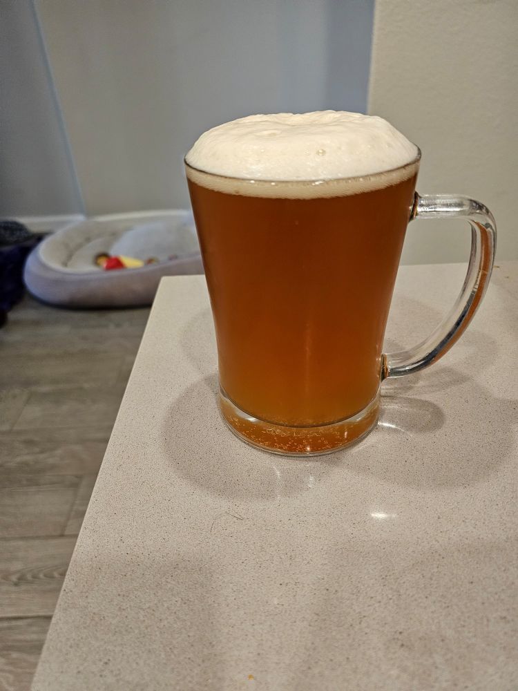 Large glass mug of amber beer