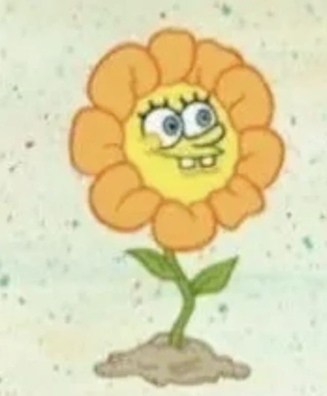 spongebob as a flower with orange petals, from the episode "squid wood" (season 4, episode 79b)