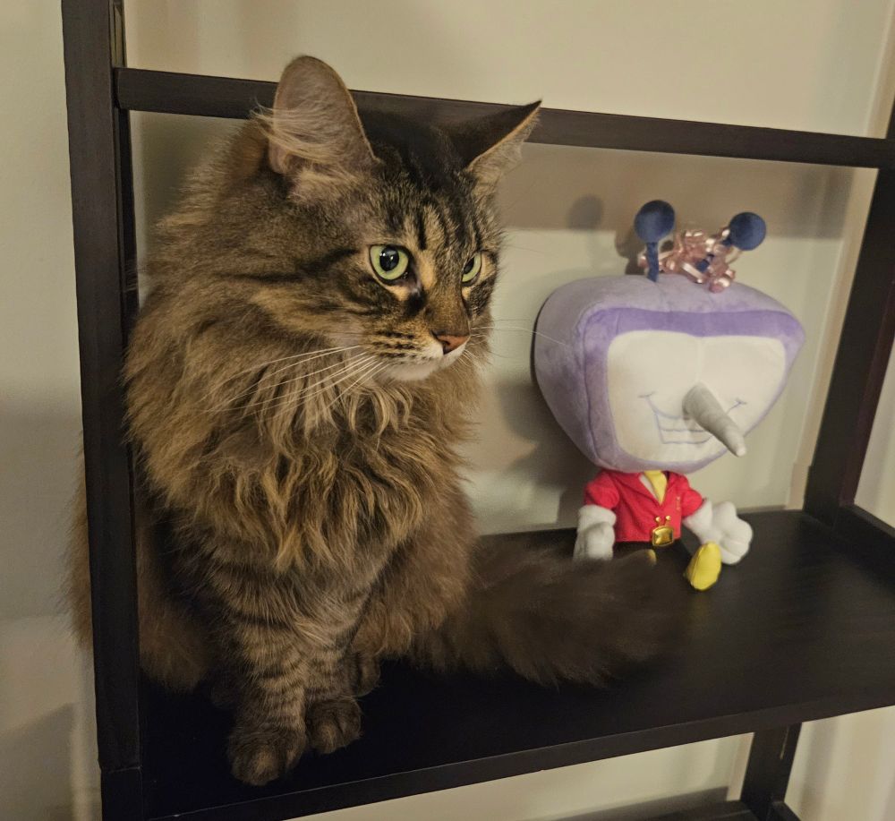 Image of perfect angels - domestic shorthair cat sitting next to the fangamer Tenna plushie that has a pink ribbon around his antenna