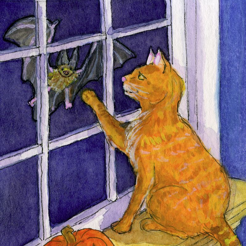 Square trim of a larger watercolor artwork, showing an orange tabby cat sitting on a window ledge, a paw raised to the window pane, on the other side of which a bat hovers.
