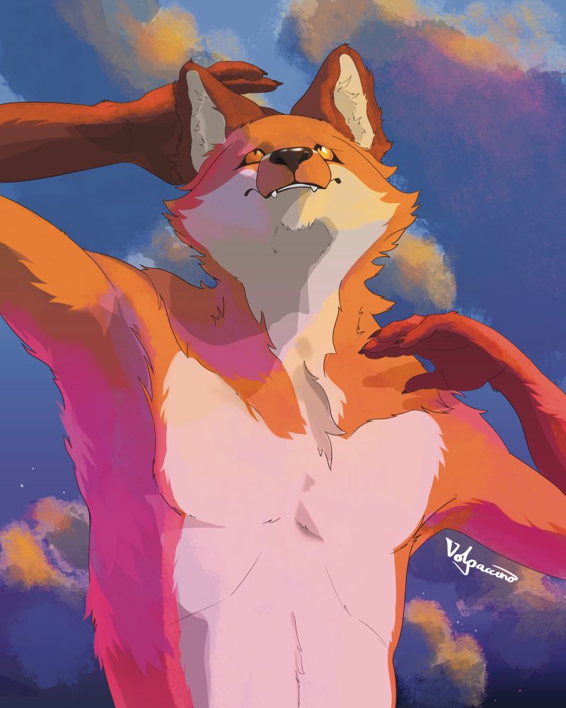 An anthropomorphic fox looks out towards the setting sun. The light dapples him in pink and red hues as the stars begin to come into view behind him.