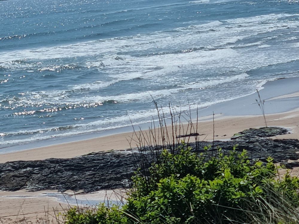 Waves 