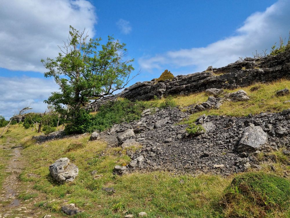 Limestone scenery 