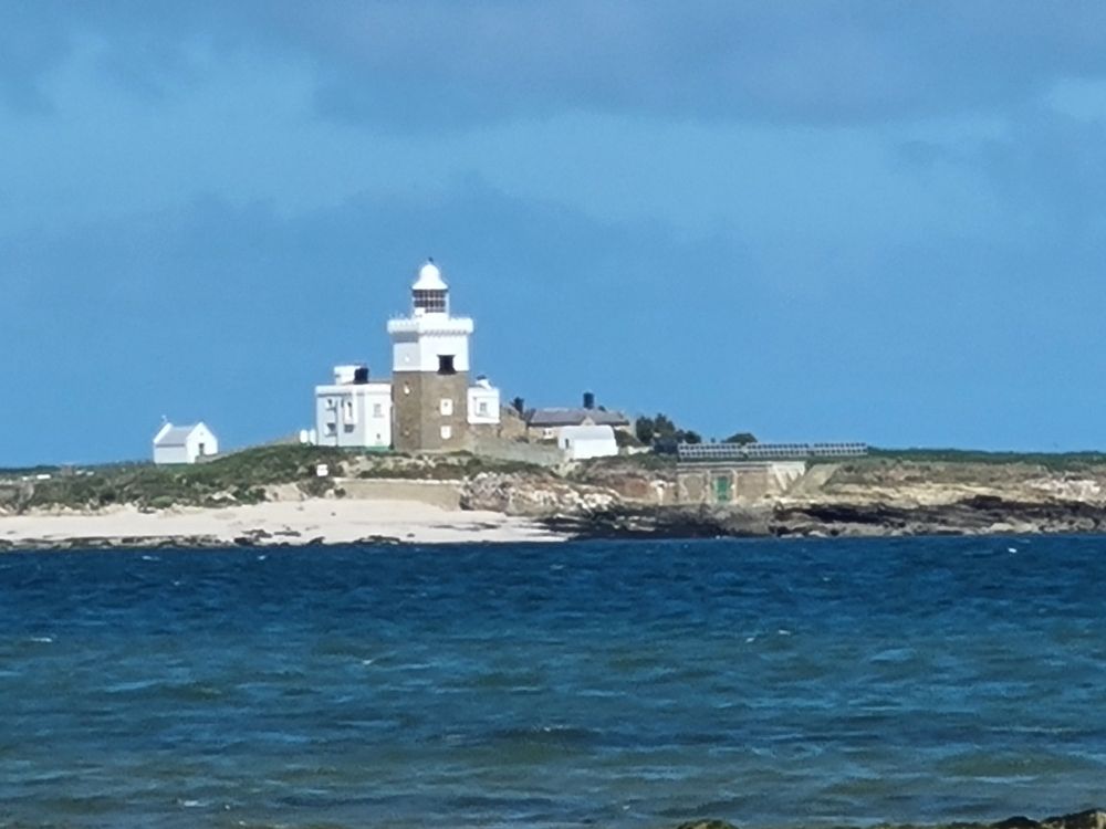 Coquet Island
