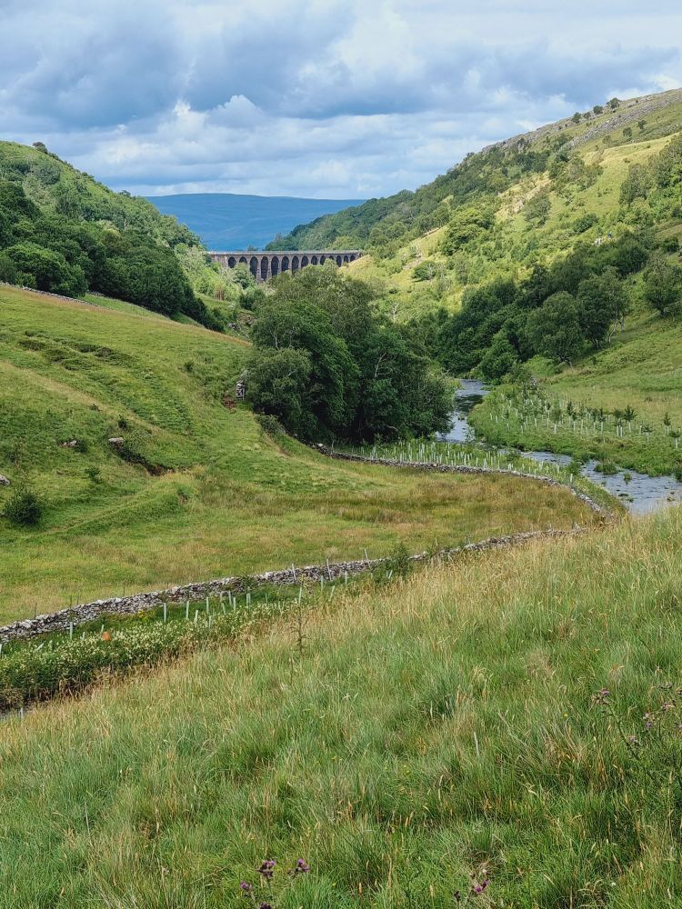 The Viaduct 