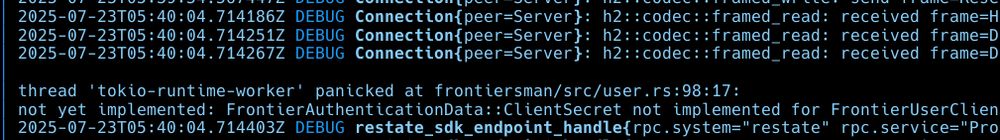 console error message saying that something is not implemented