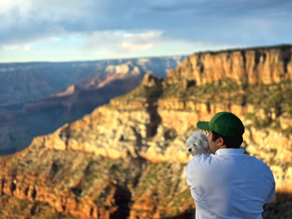 Man holding Maltese dog admires the Grand canyon South rim
