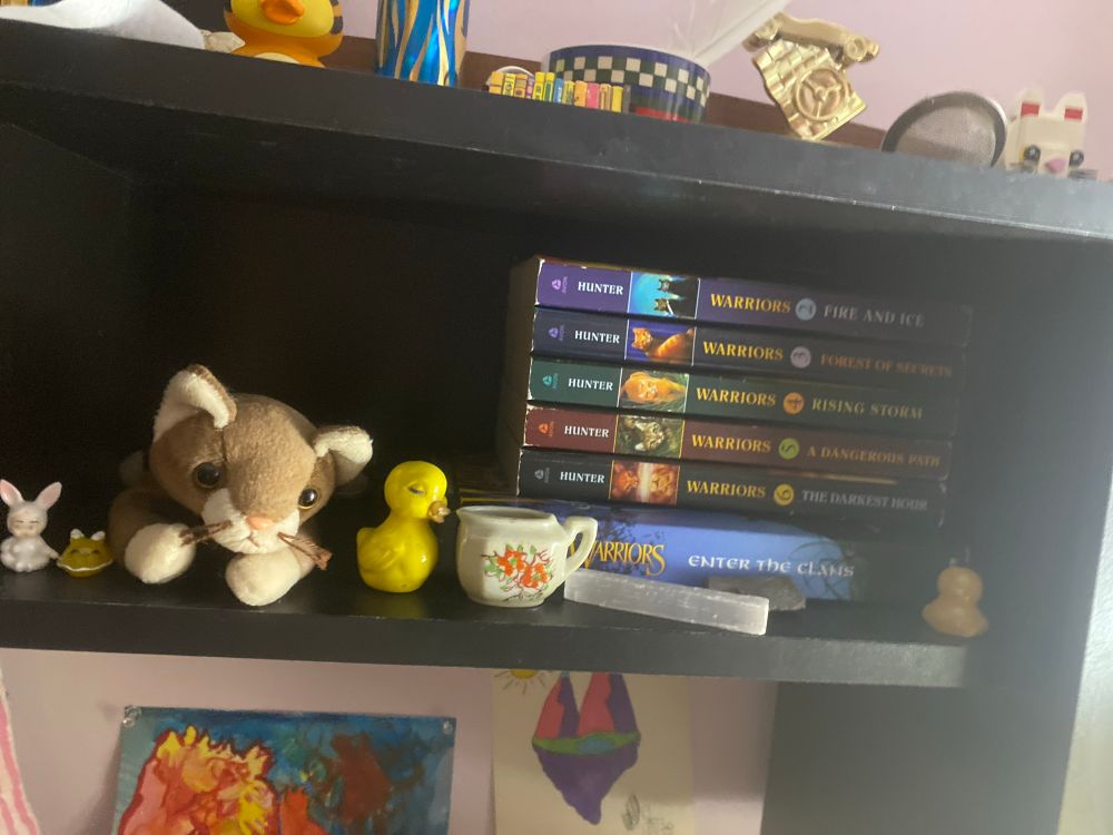 Photo of a shelf above my desk which I dedicated to my Warrior Cats books collection (lol)