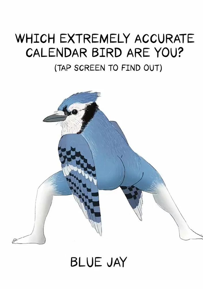 White background with black text "Which extremely accurate calendar bird are you? (Tap screen to find out" with the altered image of a Bluejay with the lower torso and legs of a human, with the butt facing the viewer.