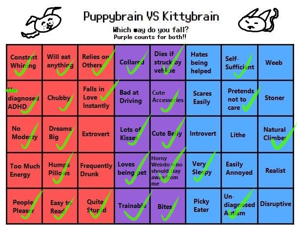 Filled out chart for Puppybrain vs kittybrain.  Most answers are on puppybrain side