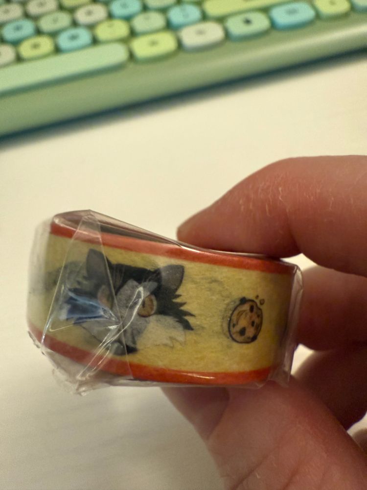 Close-up of the Cookie the Cat washi tape. She is perfect.