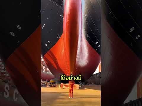 โลมาว่ายหน้าเรือเพราะมันขี้เกียจว่ายน้ำเอง