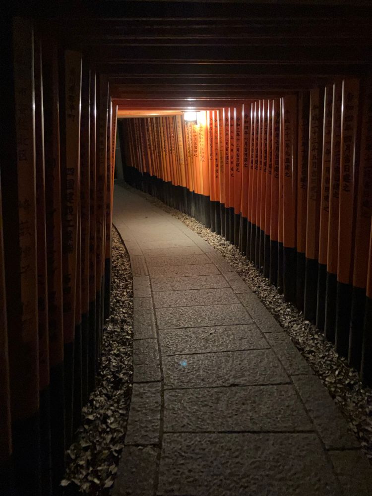 famous corridor of red gates in fushimi inari temple at night, no people