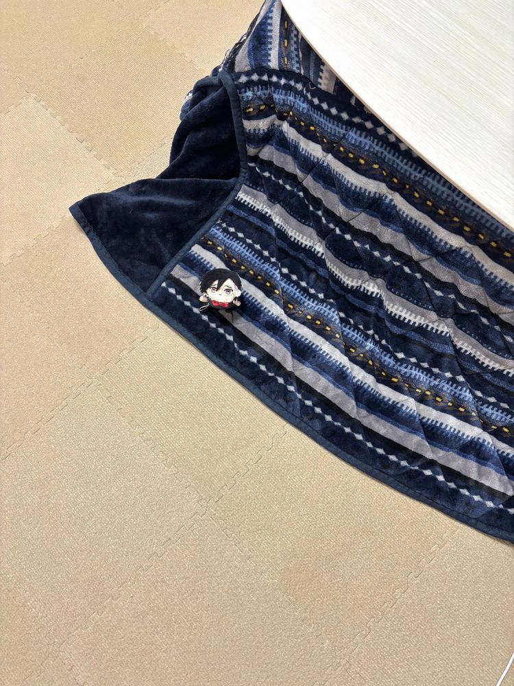 コタツ布団に乗っているごろさめ