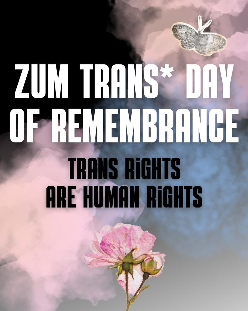 Man sieht rosa und hellblauen Rauch, dahinter ein schwarz zu grau verlaufender Hintergrund. Eine getrocknete rosa Blume ist am Bild. Text: Zum Trans* Day of Remembrance - Trans Rights Are Human Rights 