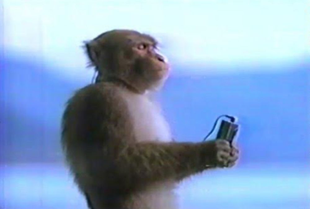 Grainy image of a Japanese Macaque with earbuds  holding and listening to a Sony Walkman. The monkey looks relaxed and lost in the music they are listening to. Image taken from a Sony advertising campaign from the 80’s for the Sony Walkman cassette player. 