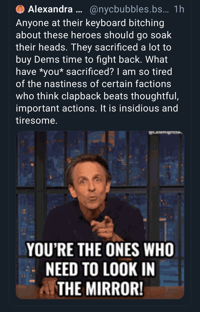 "Anyone at their keyboards bitching about these heros should go soak their heads. They sacrificed a lot to buy Dems time to fight back. What have *you* sacrificed? I am so tired of the nastiness of certain factions who think clapback beats thoughtful, important  actions. It is insidious and tiresome."

Accompanied with a gif of a man pointing and shouting, "You're the ones who need to look in the mirror"
