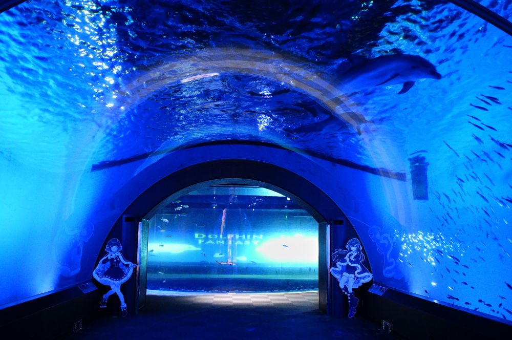 秦谷美鈴
月村手毬