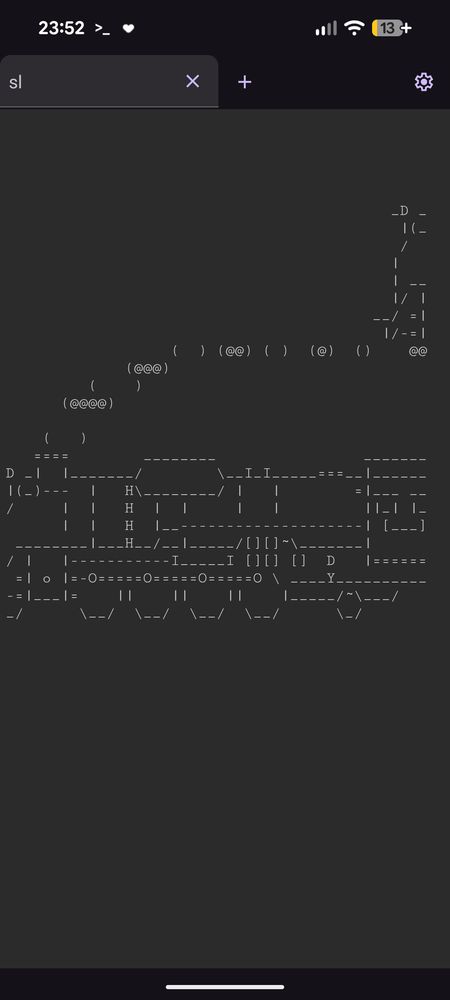 Running sl, the steam locomotive app, via Homebrew on my Pixel 8