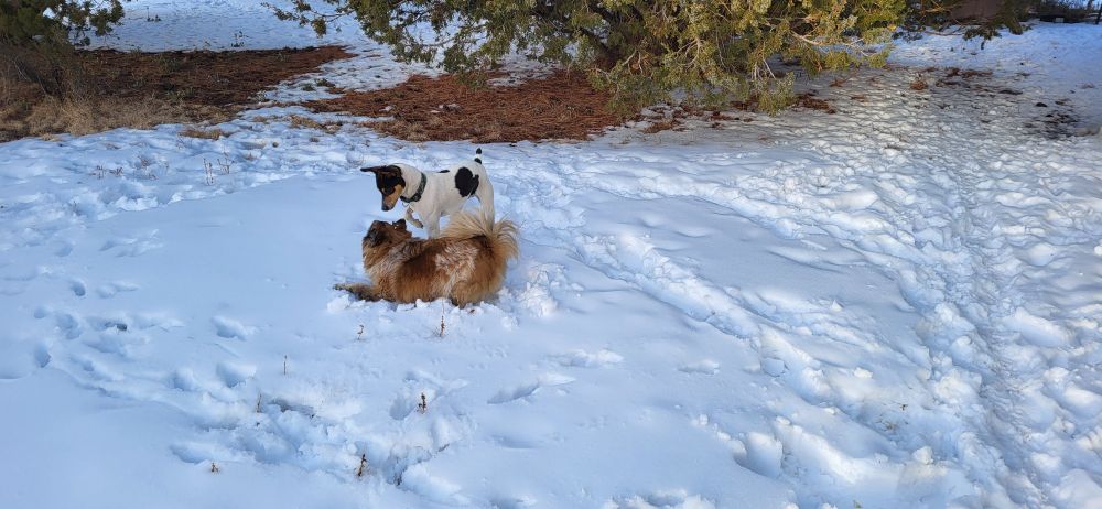 Porthos and Jax 01/13/24