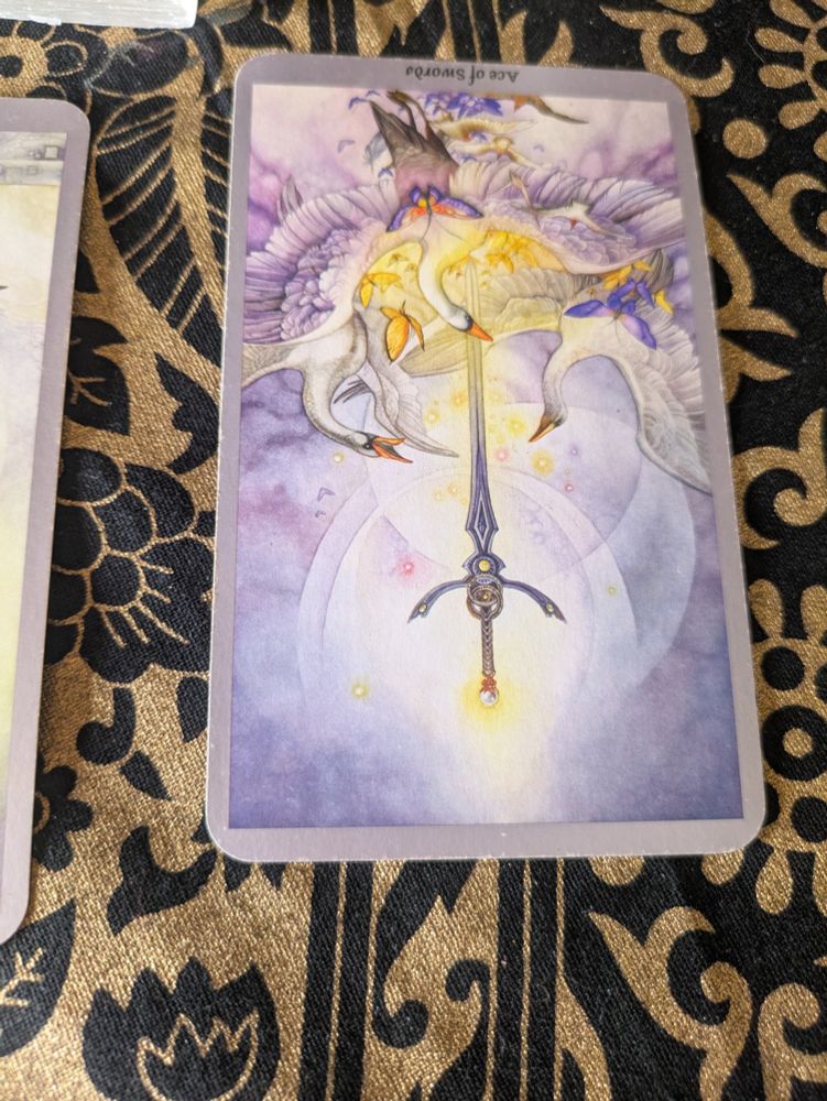 A closeup of the third tarot card, the image shows three swans in flight surrounding a glowing, stylized sword that floats between them. The sword seems to give off sparks, and there are butterflies and smaller birds encircling the swans and the sword. The tarot card is upside down. 