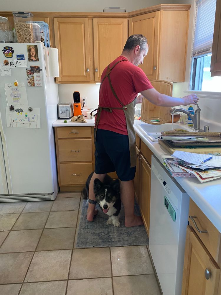 A man standing over the kitchen sink preparing dinner and with an old black and white corgi between his legs trolling for scraps