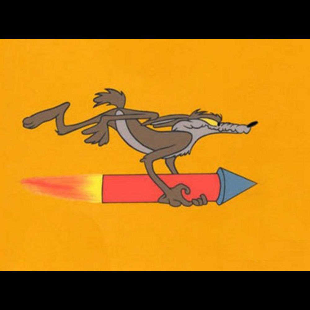 ‘Coyote Vs. Acme’: Finished Live-Action/Animated Pic Shelved Completely By Warner Bros As Studio...