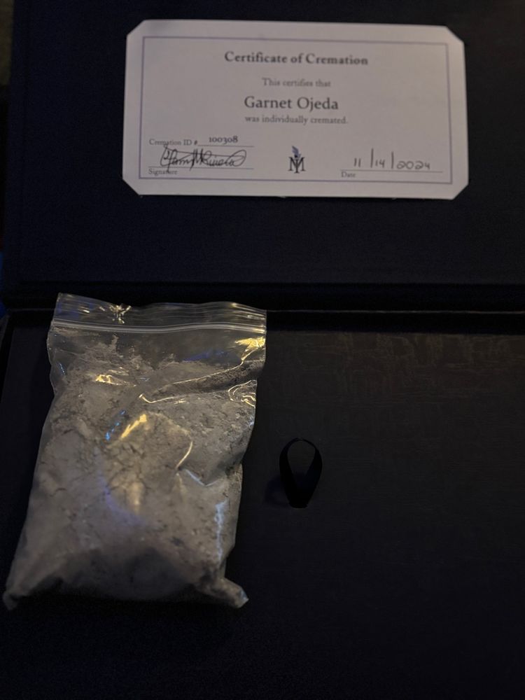 Garnet’s ashes on top of an open dark navy blue box and her death certificate. 