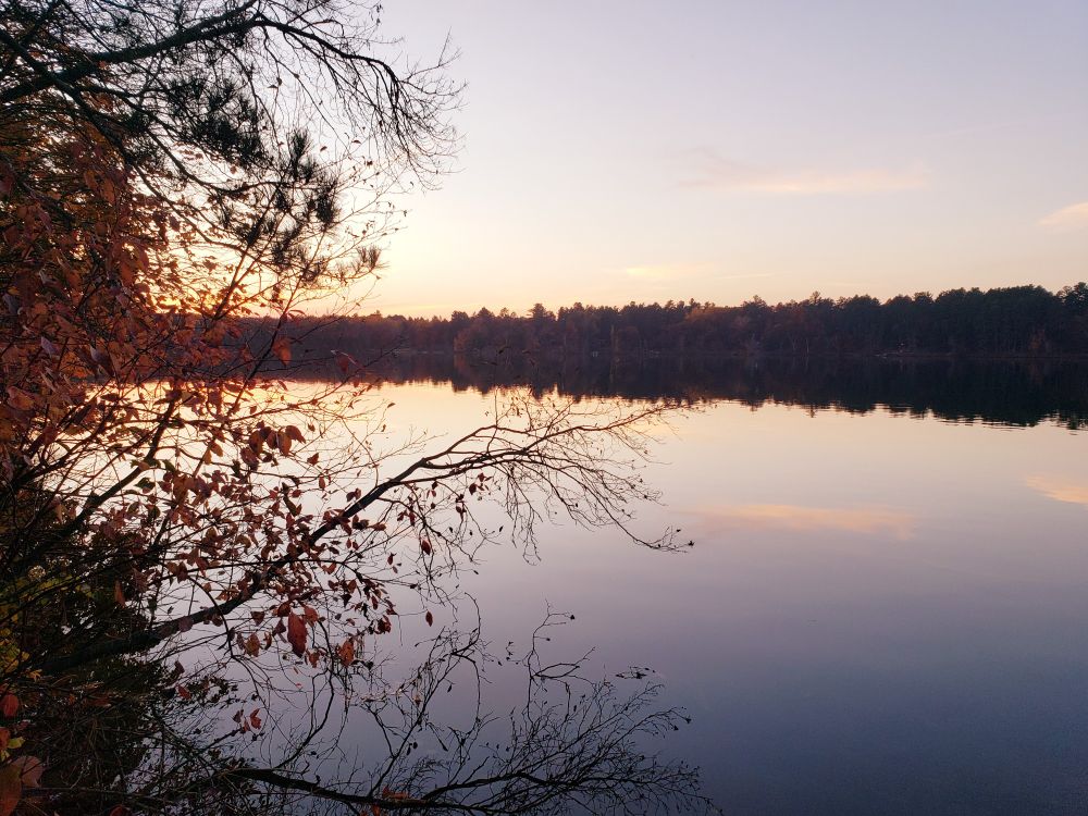 A picture of a perfectly still lake at sunrise. There is brown fall foliage on the left with the pale blue and gold sky being reflected in the water.