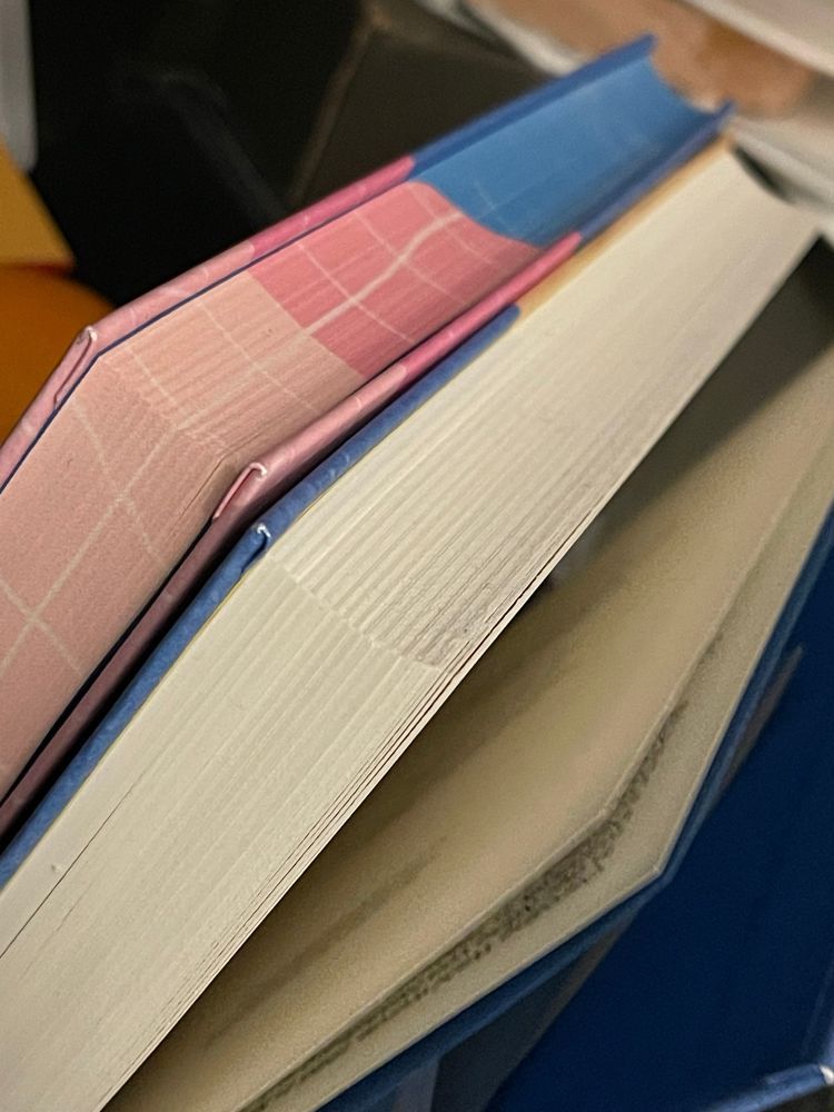 Zu sehen sind zwei hochkant stehende Bücher, genauer gesagt der Buchschnitt. Das linke Buch (22 Bahnen, Büchergilde Gutenberg) hat einen sog. Farbschnitt, also farbig angesprühte Seiten. Das rechte Buch (Windstärke 17, Büchergilde Gutenberg) hat dad nicht. 