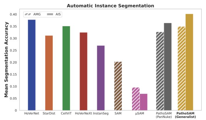 Nucleus instance segmentation result averaged over several histopathology datasets for PathoSAM and several other methods.