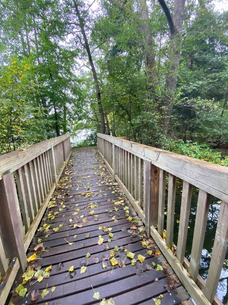 Eine Holzbrücke mit Geländern, Blätter liegen auf den Holzbohlen, dahinter noch recht grüner Wald