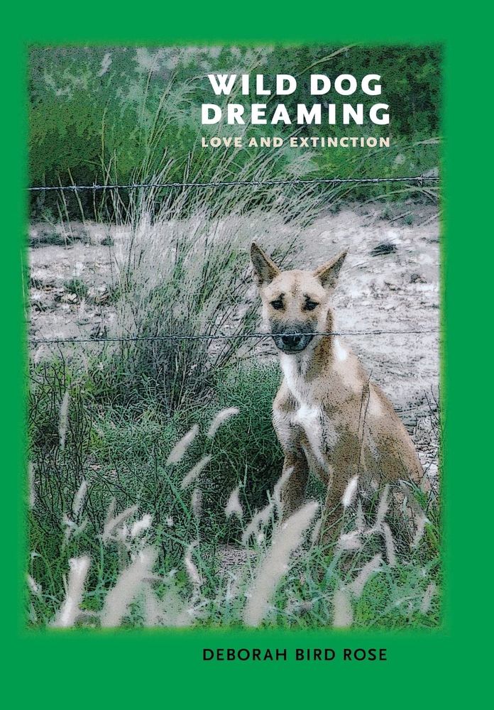 Book cover for Wild Dog Dreaming by Deborah Bird Rose. The cover image features a dog among brush vegetation, staring melancholically behind a barbed wire fence. 