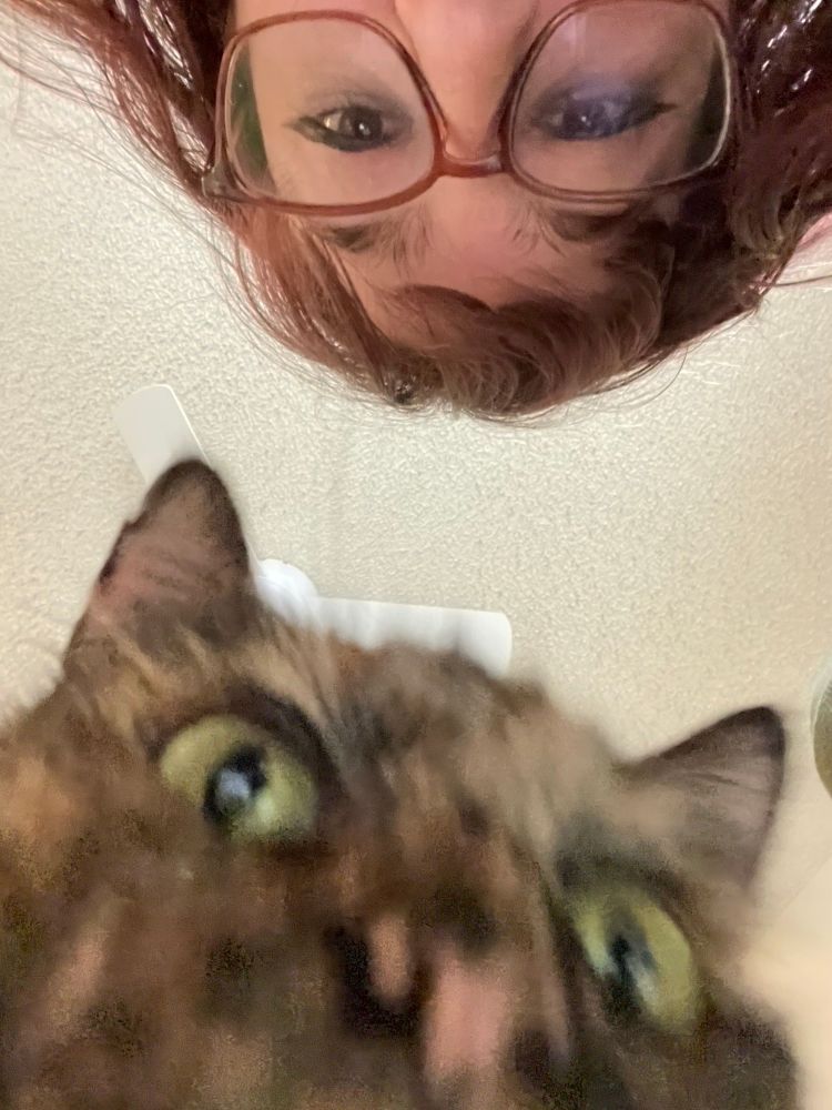 a selfie of me and gladys looking down at the camera! the phone is on the floor and gladys is blurry at the bottom of the photo. i am at the top half of the photo! 
