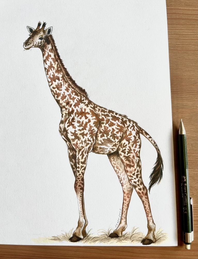 Photo of a drawing of a giraffe made with markers and colored pencils