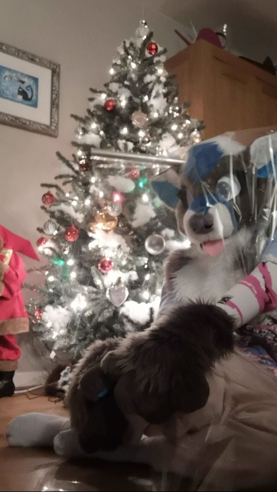 Eniko has wrapped herself up with see through Christmas packaging