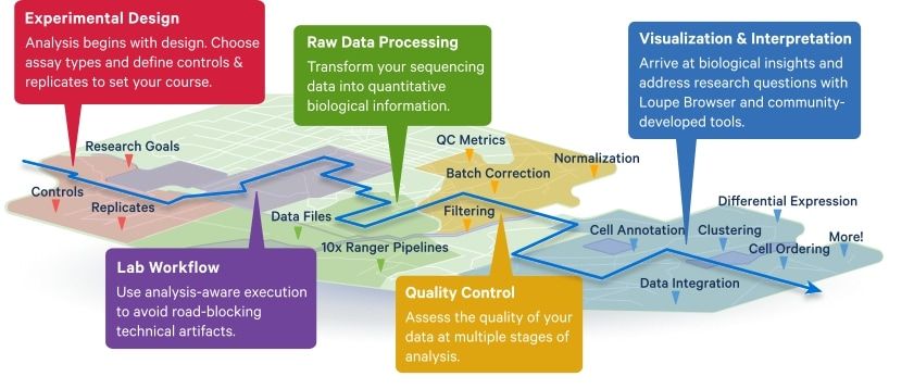 Overview of the roadmap for 10x Genomics data analysis
