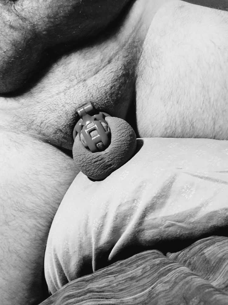 Close-up, black and white photo of me kneeling on a pillow, presenting my shaved smooth balls, with my cock locked away in a chastity cage