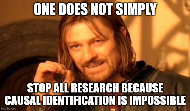 Boromir saying "one does not simply stop all research because causal identification is impossible"