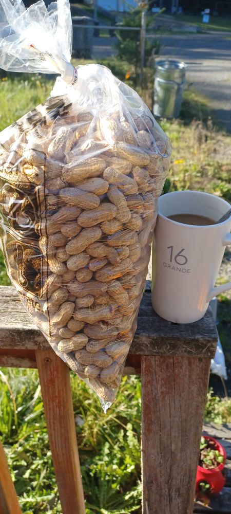 a bulk bag of unsalted peanuts in shell costing 7$ and a cup of coffee, sitting on a railing outside