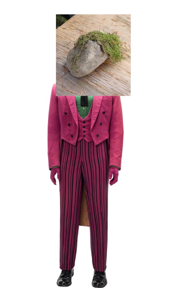 its the rock with bright green moss hair from the post below, but it's been hastily photoshopped onto cesar romero's OG batman tv series joker suit