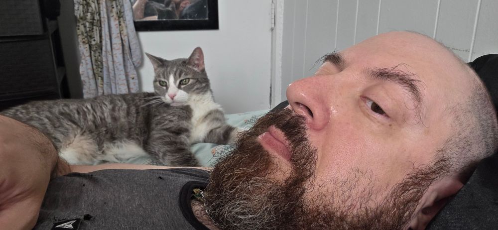 Your skeeter, a bald, bearded, cis "White" man, & his 17½ year old grey & white tabby named Pavement, both reclining in bed.