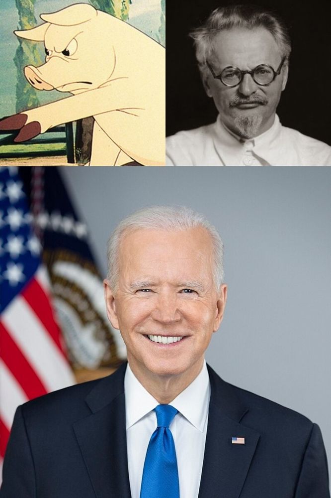 Comment image