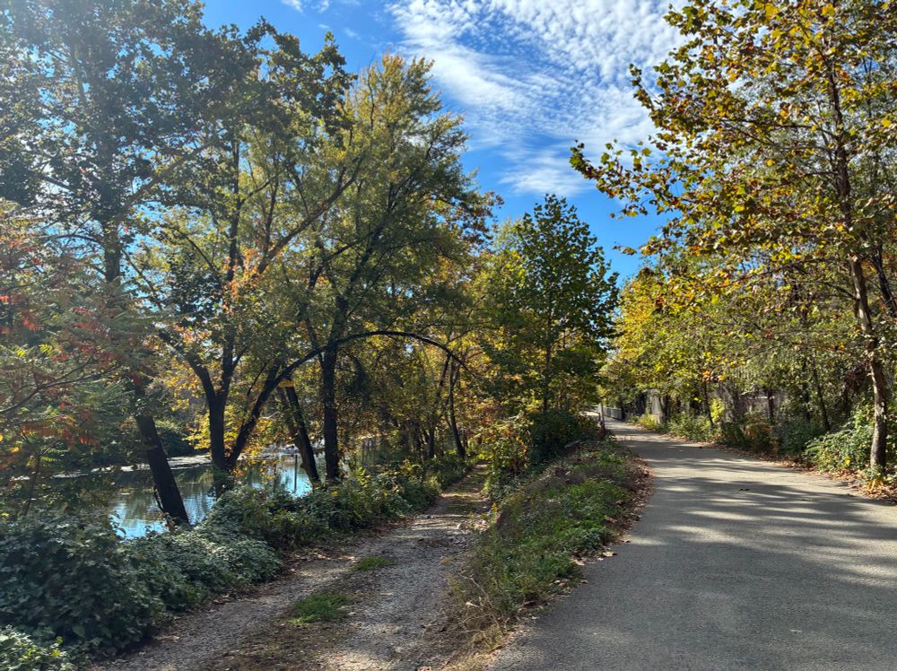 a photo of a walking path forking to a gravel trail on the left, that descends to a river, and  a paved path on the right leading to a pedestrian bridge