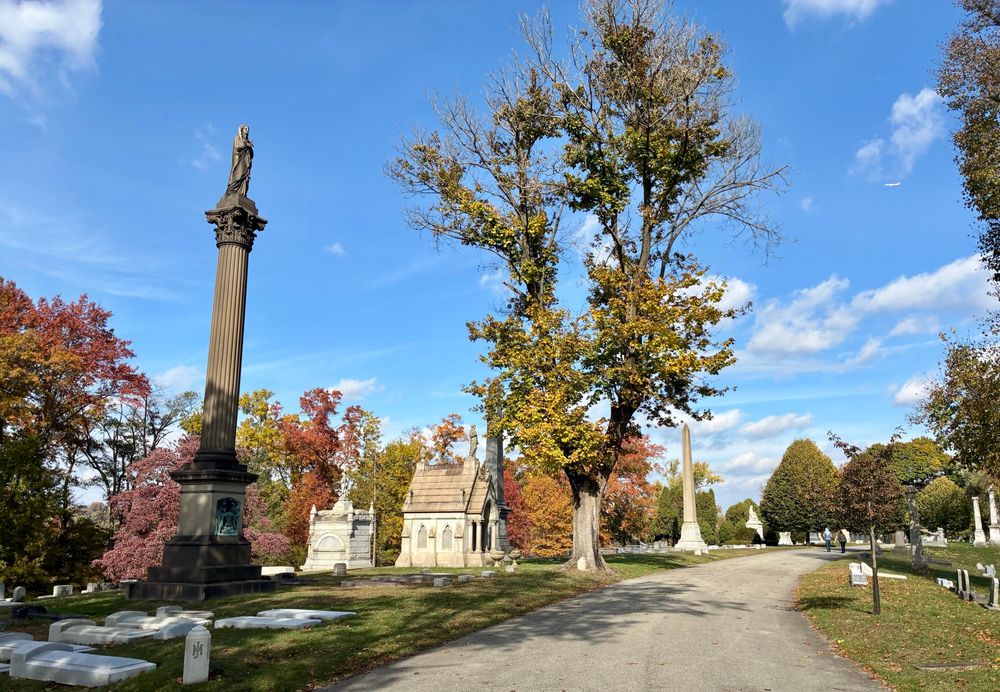 a photo of some pink and orange foliage in a cemetery 