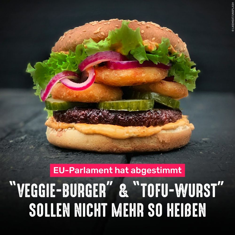 Pflanzlicher Burger. Bildtext: EU-Parlament hat abgestimmt - "Veggie-Burger" & "Tofu-Wurst" sollen nicht mehr so heißen